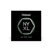 D`ADDARIO NYNW022