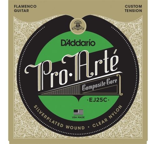 D`ADDARIO EJ25C Flamenco